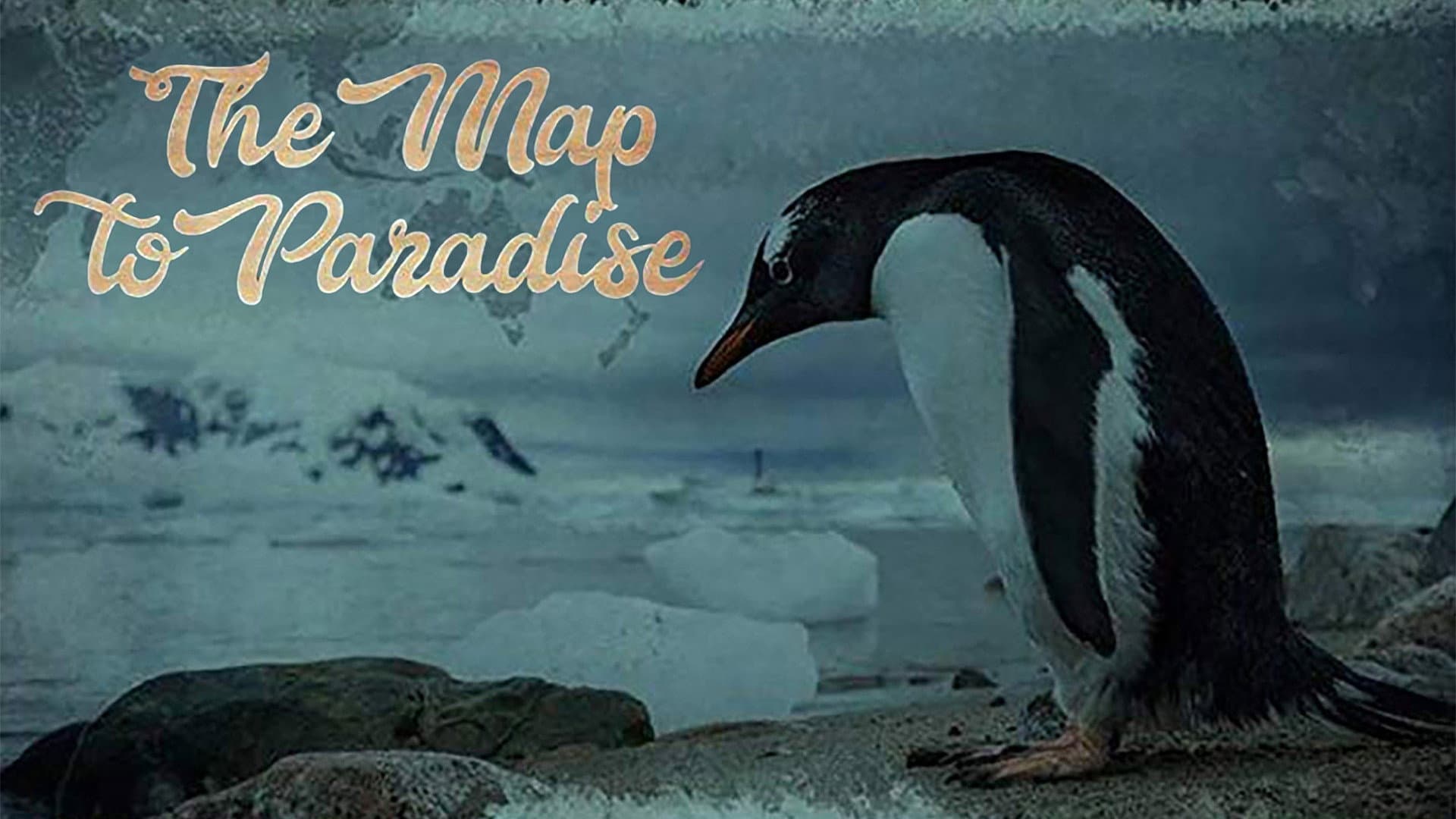 The Map to Paradise - immagine