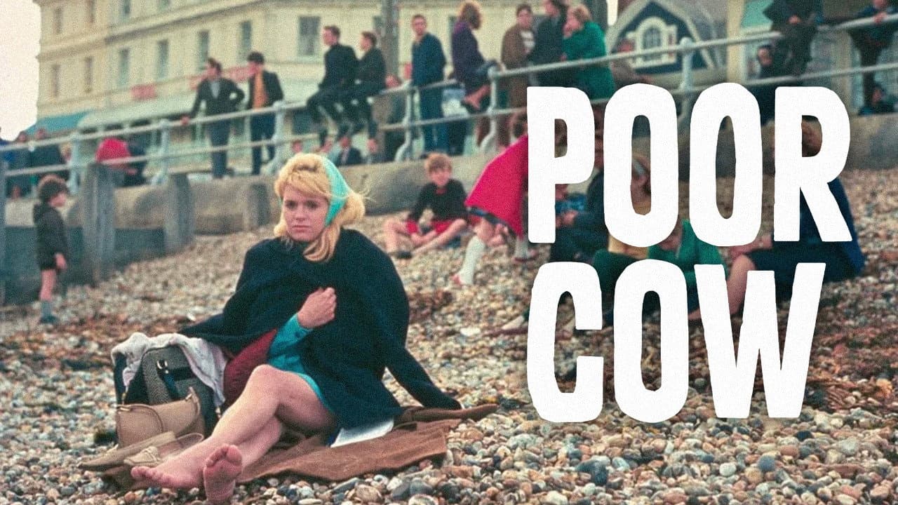 Poor Cow - immagine