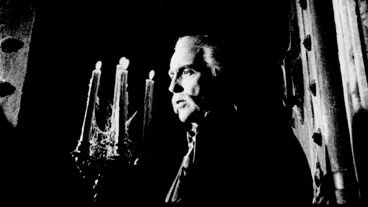 Cuadecuc, vampir - immagine