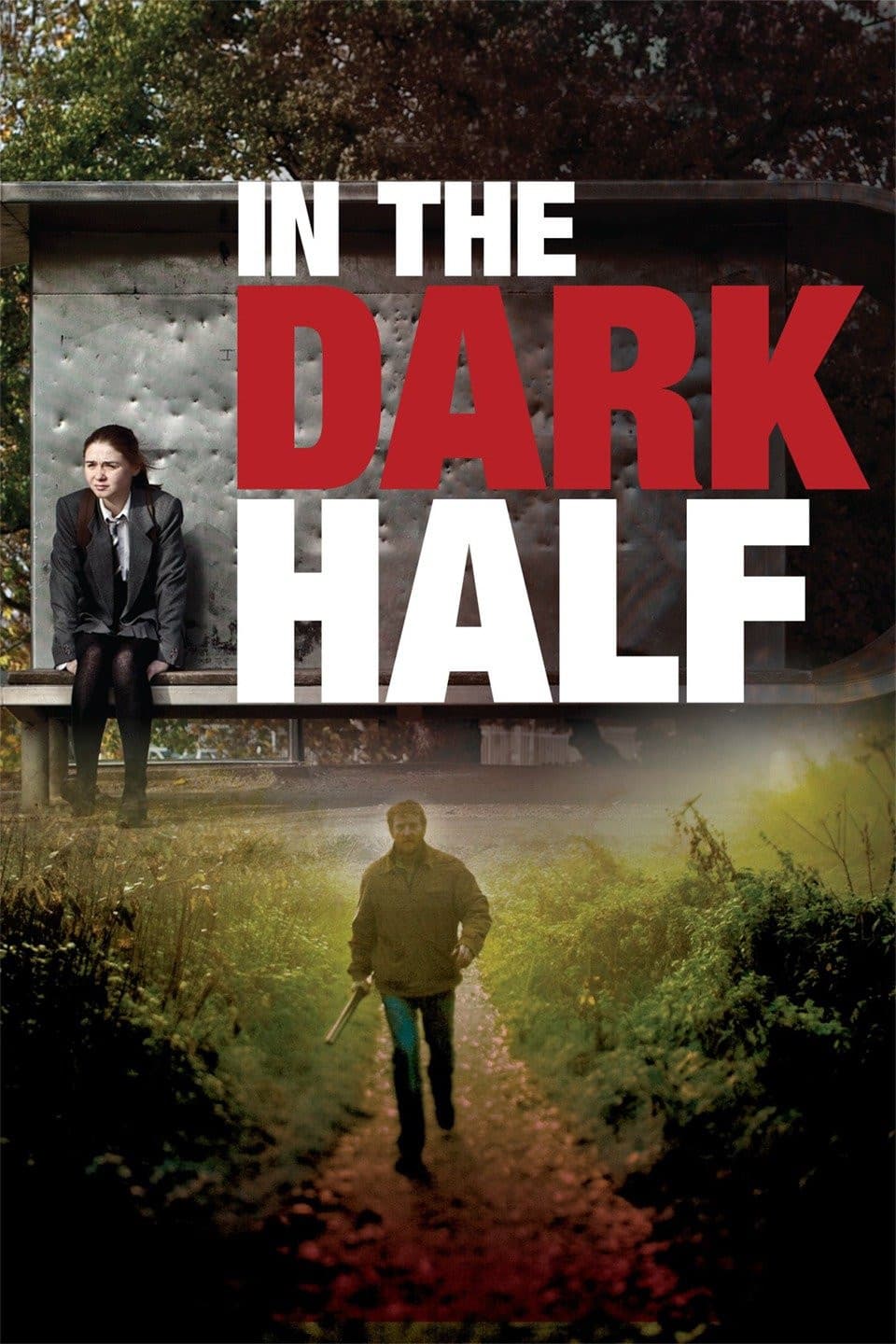Poster di In the Dark Half