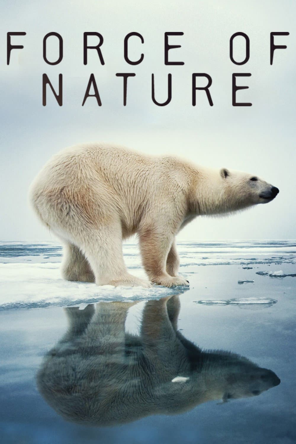 Poster di Force of Nature