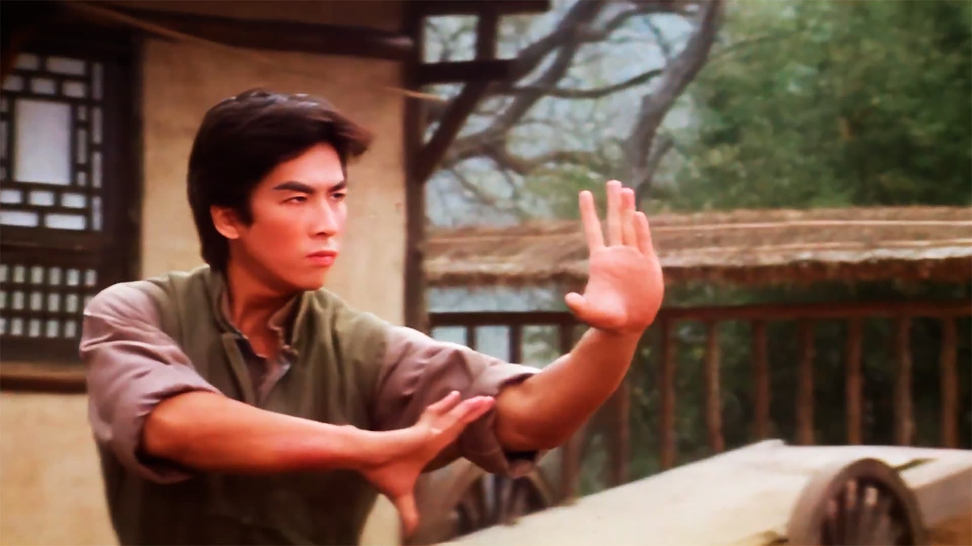 Drunken Tai Chi - immagine