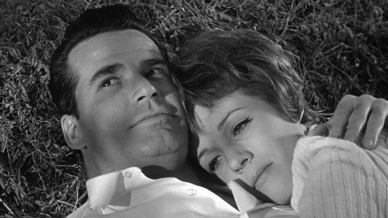 Tempo di guerra, tempo d'amore - immagine