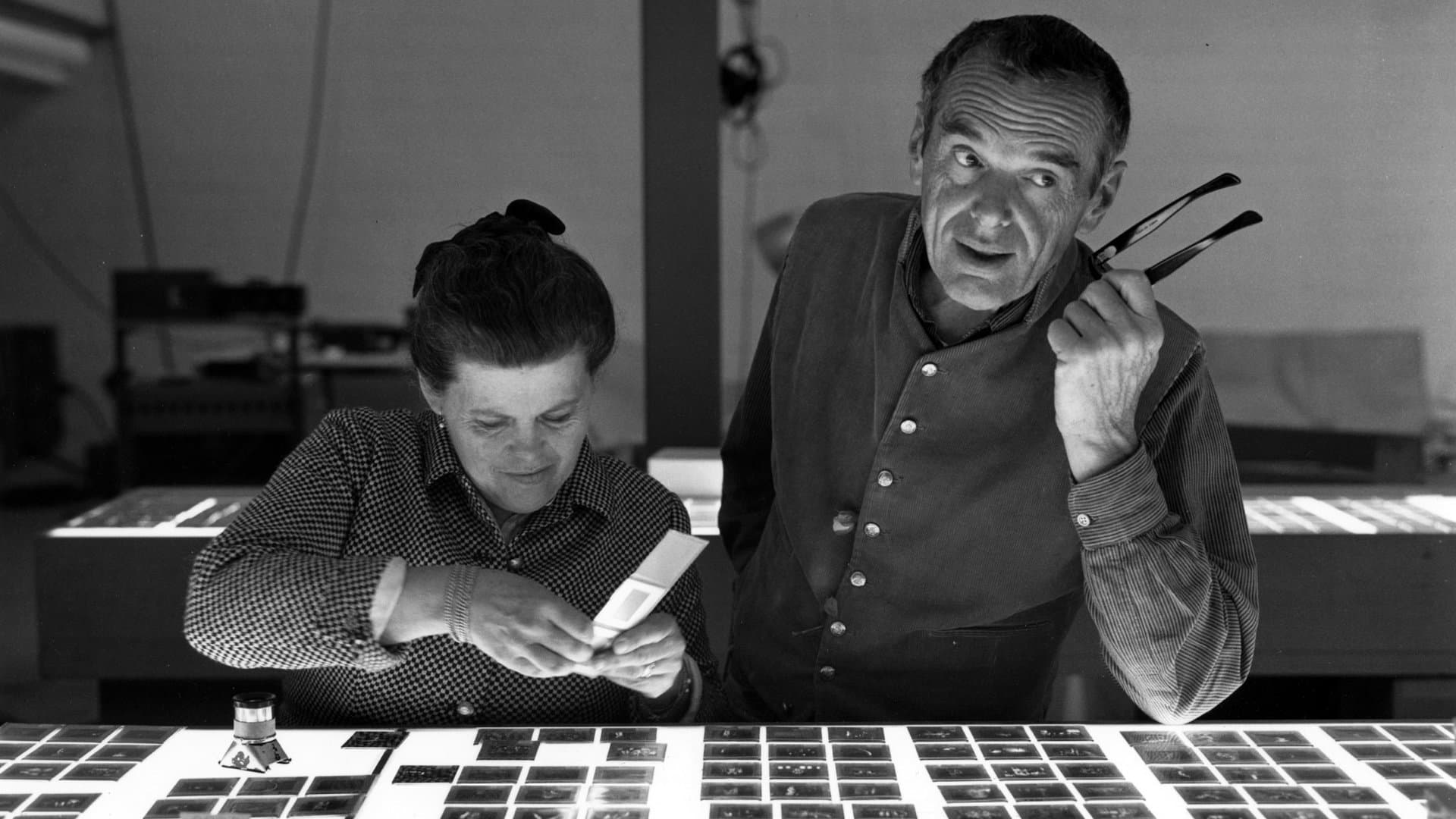 Eames: architetti, pittori, designer - immagine