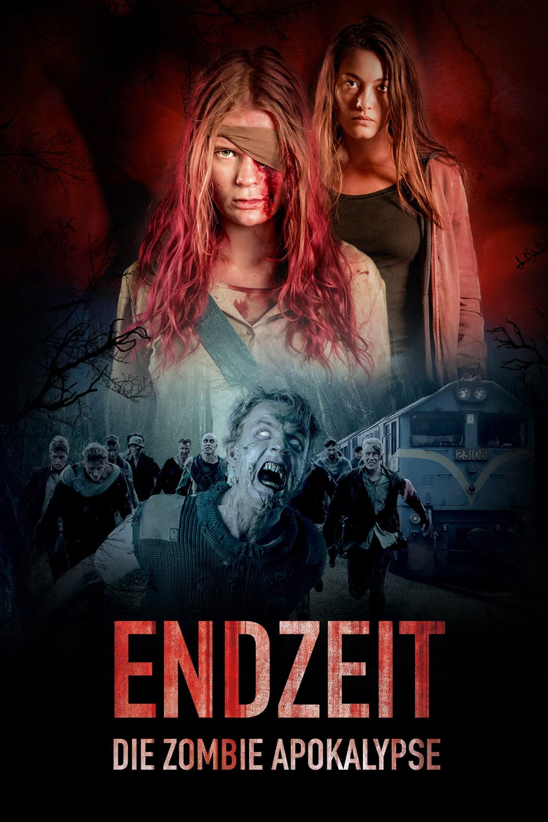 Poster di Endzeit