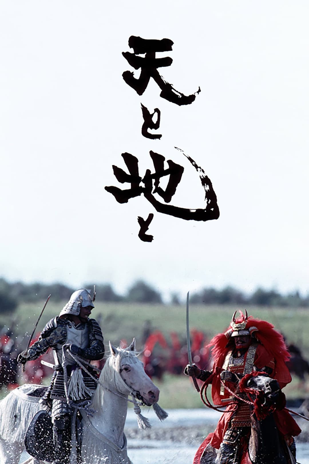 Poster di 天と地と