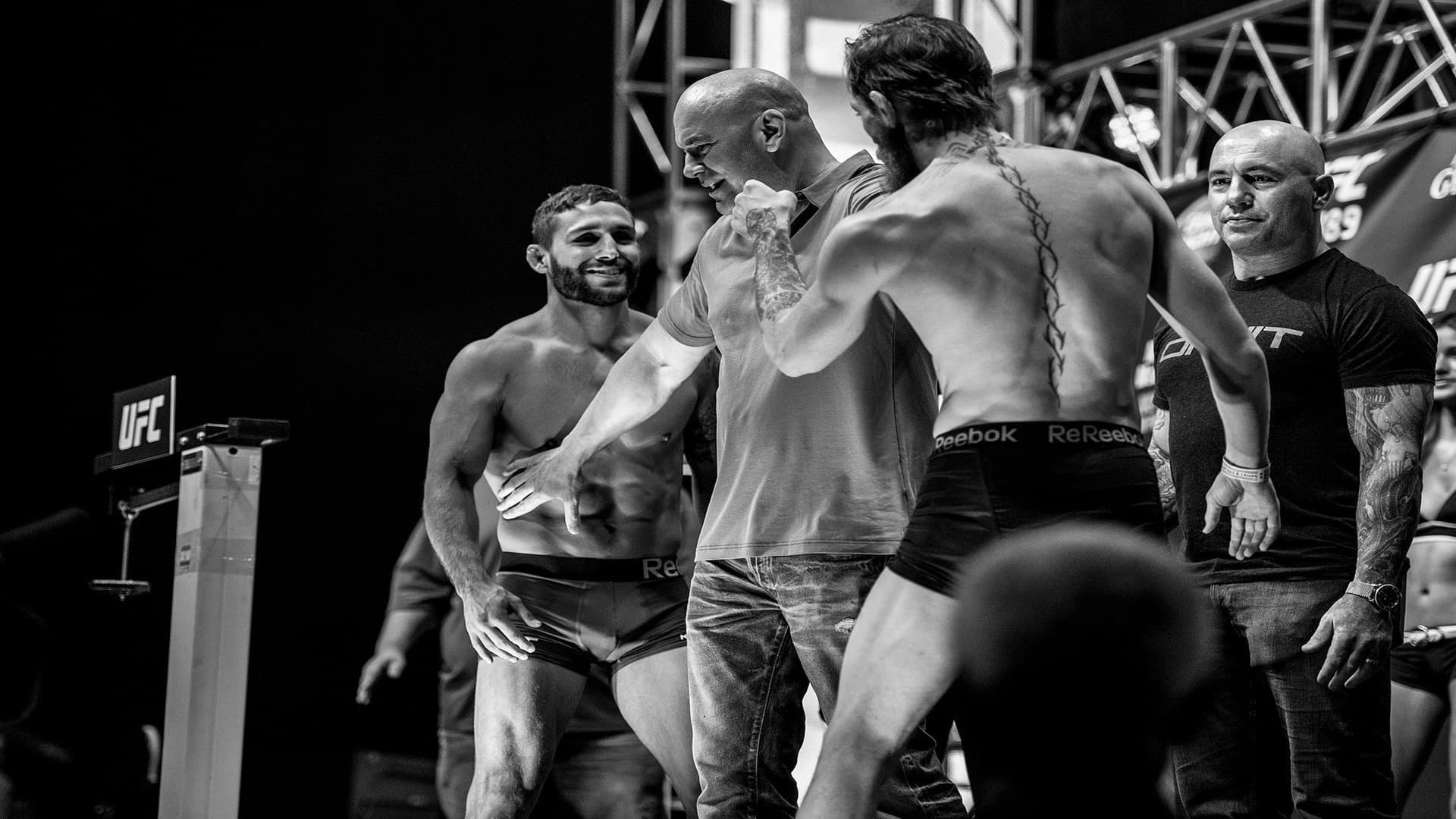 UFC 189: Mendes vs. McGregor - immagine