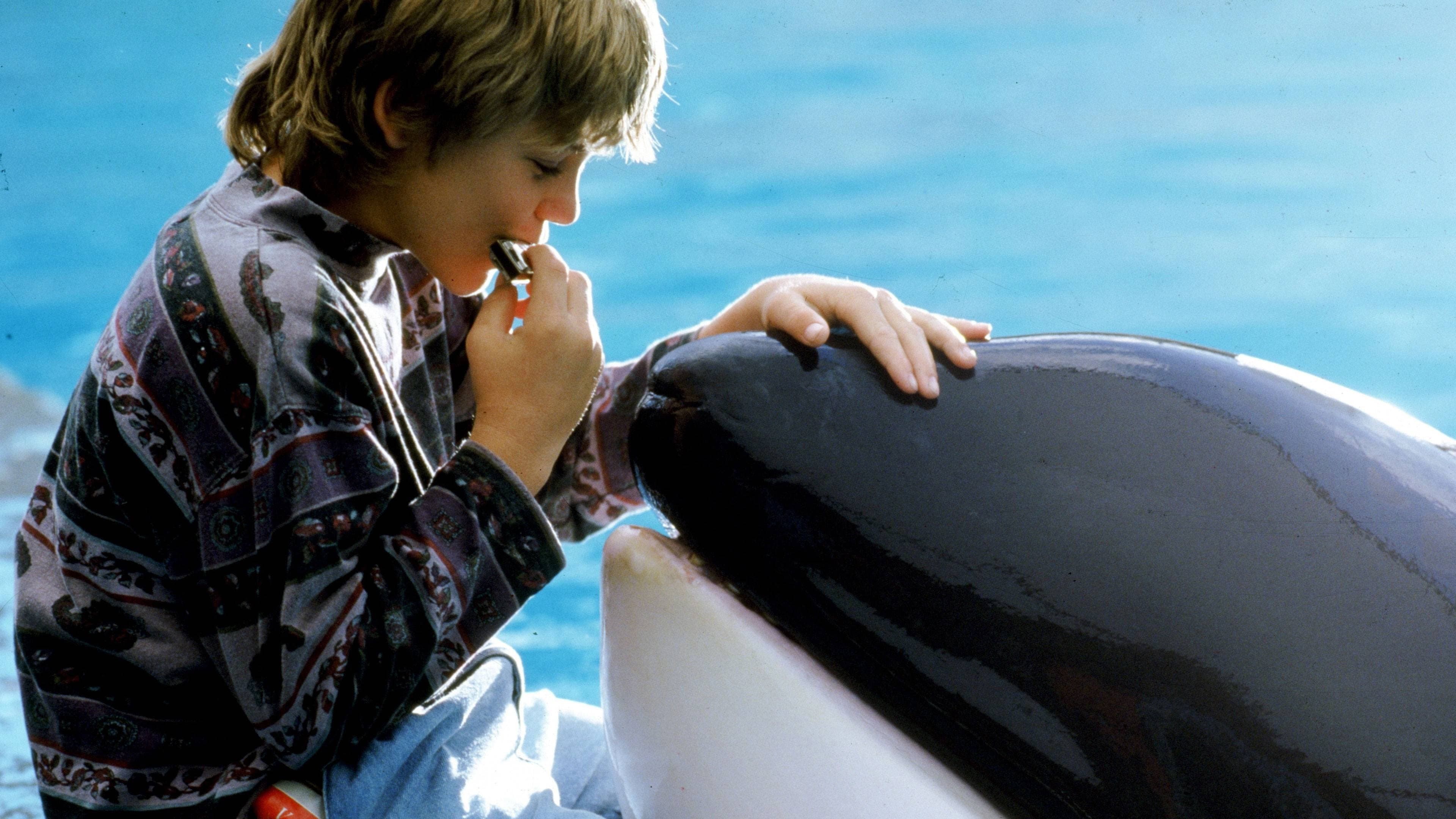 Free Willy - Un amico da salvare - immagine