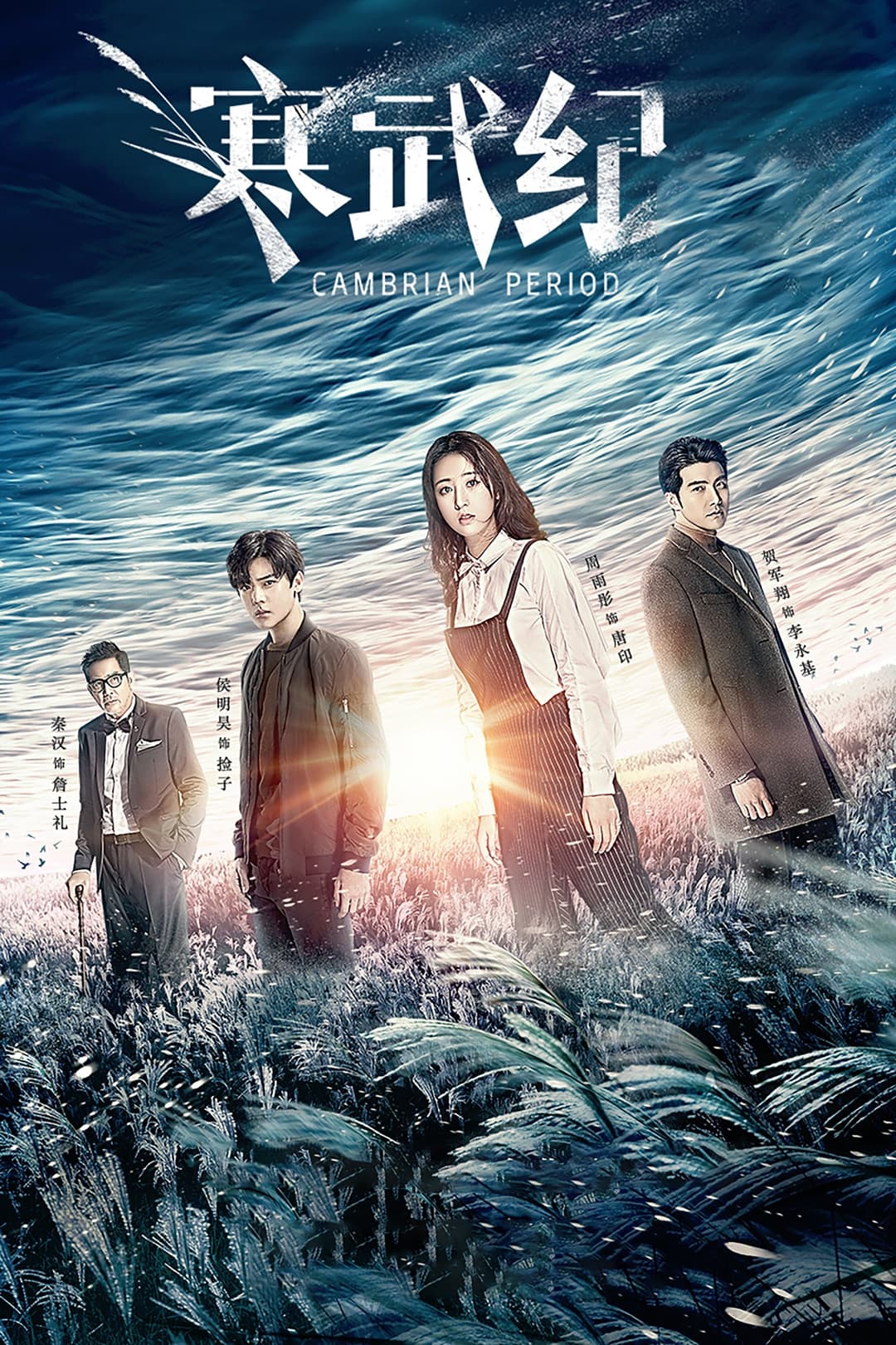Poster di 寒武纪