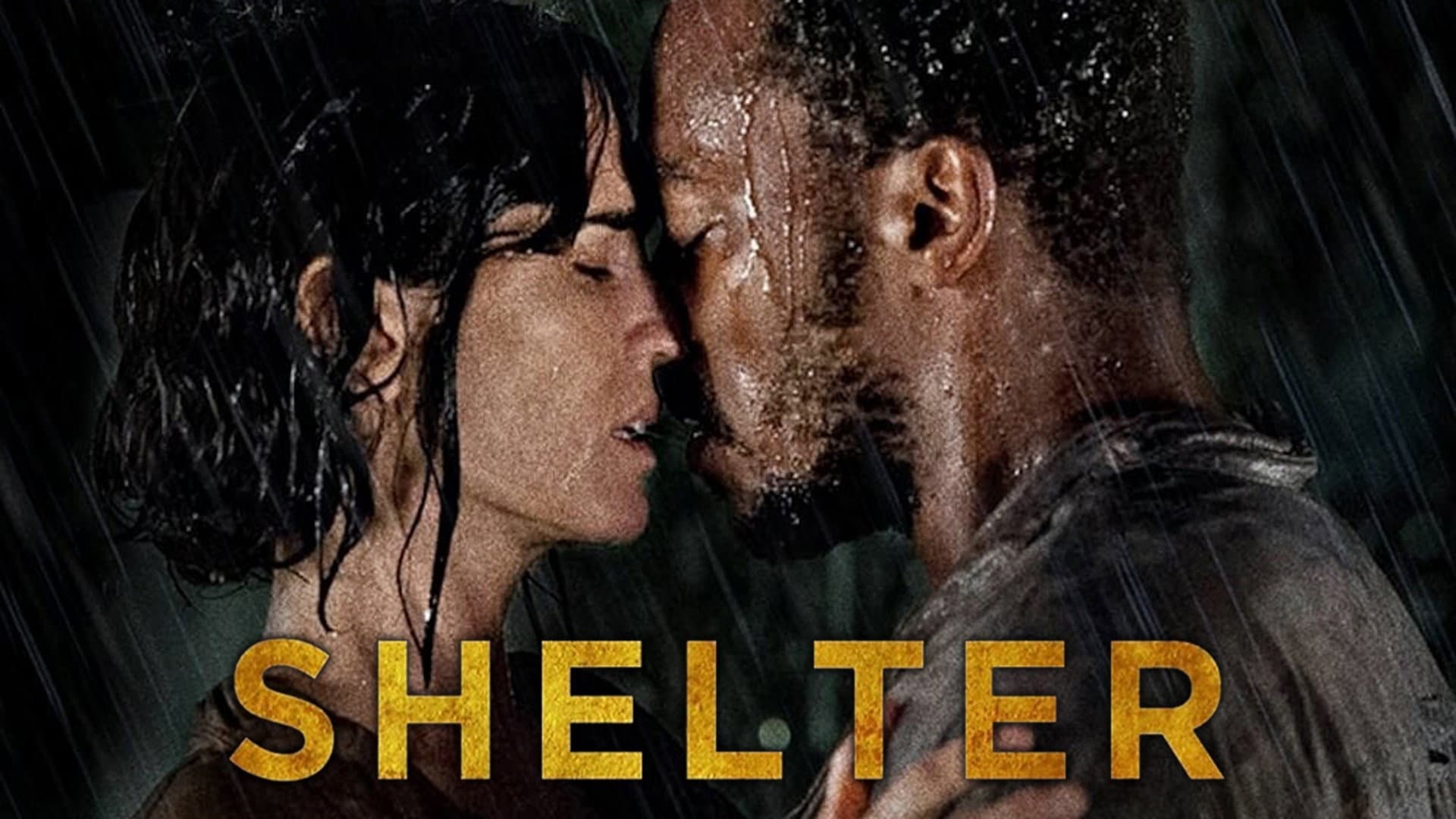 Shelter - immagine