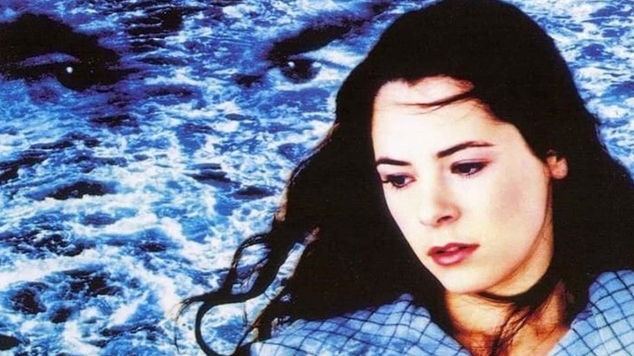 Il viaggio di Felicia - immagine