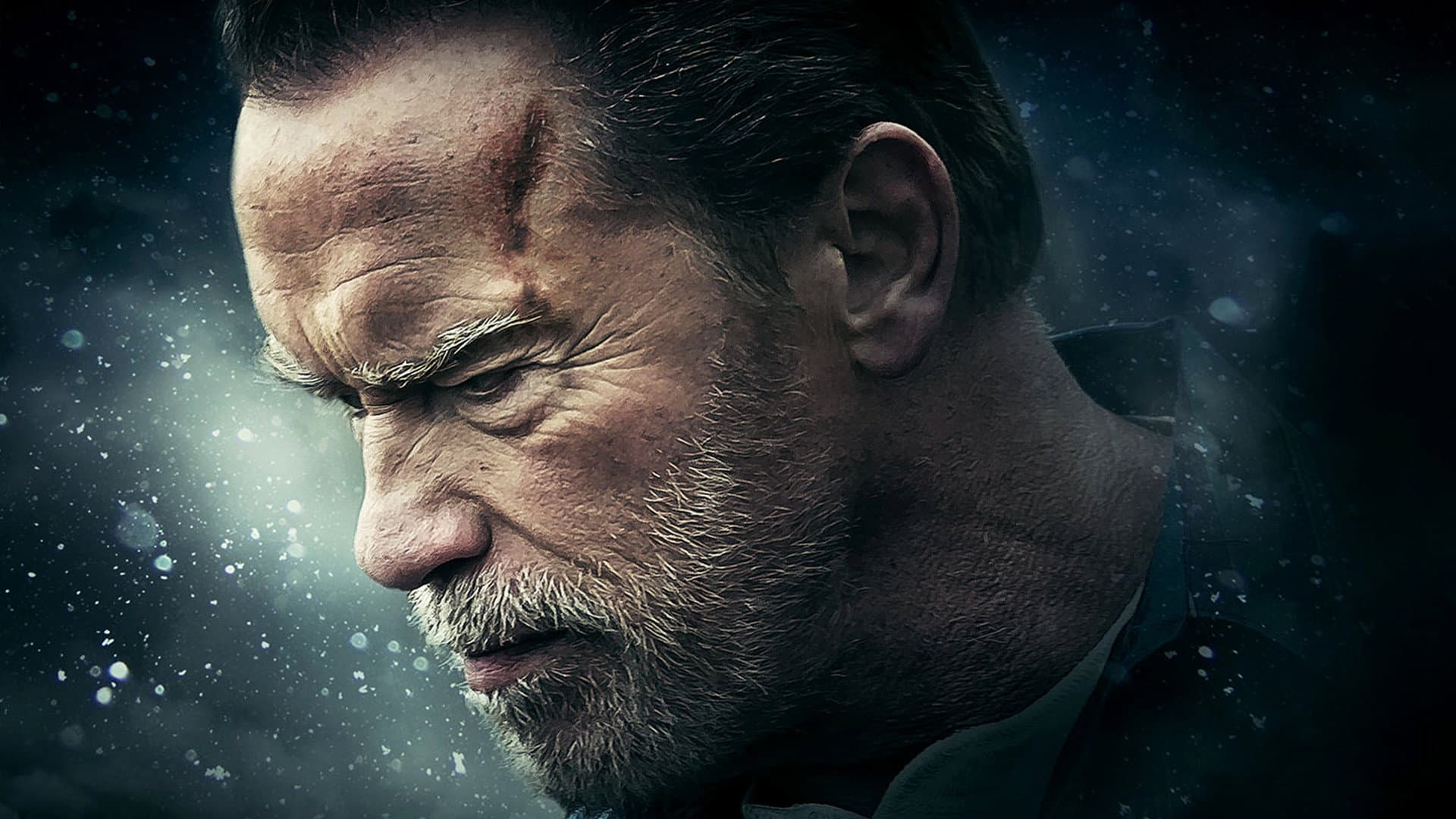 La vendetta: Aftermath - immagine