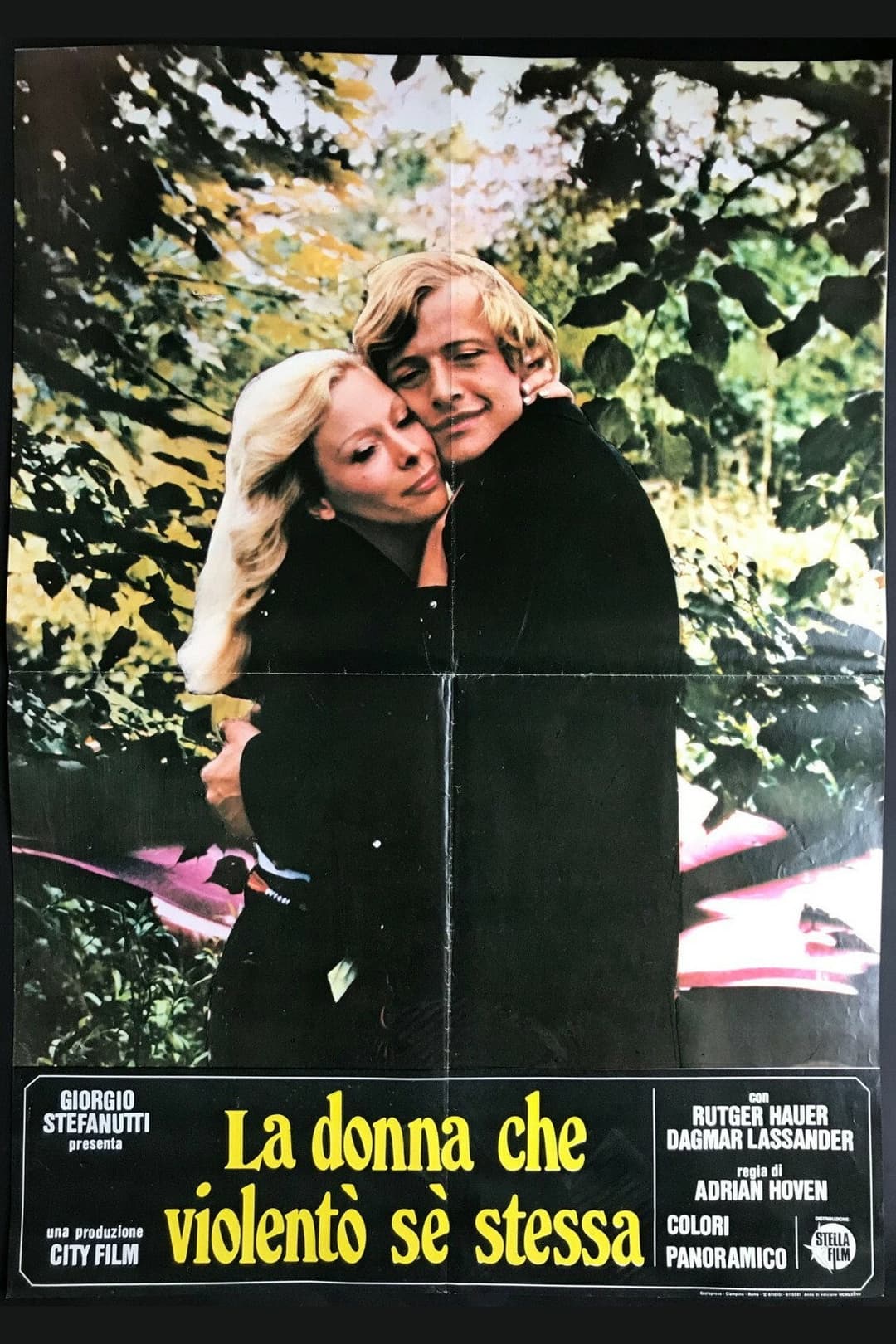Poster di La donna che violentò sè stessa