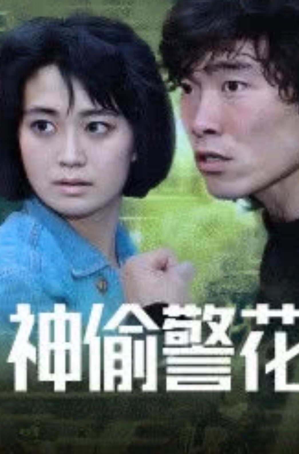 Poster di 神偷警花