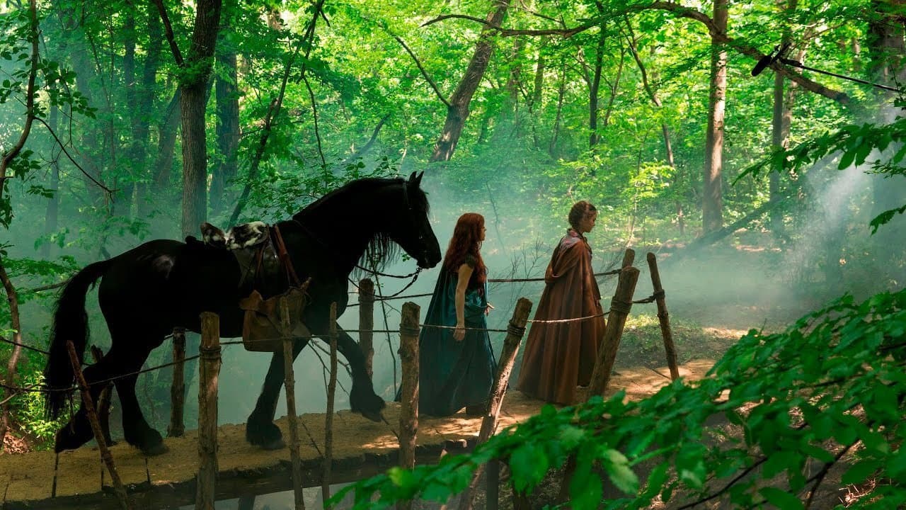 Albion: The Enchanted Stallion - immagine