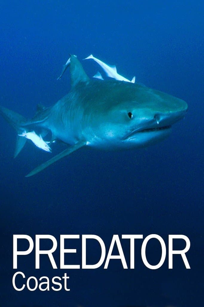 Poster di Predator Coast