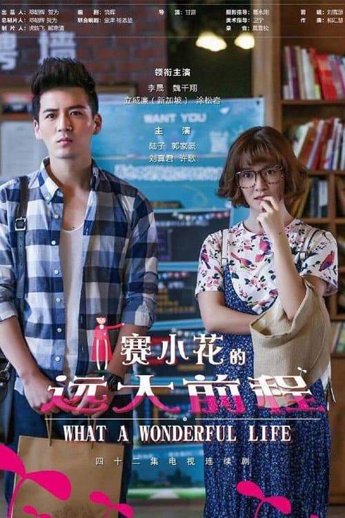 Poster di 赛小花的远大前程