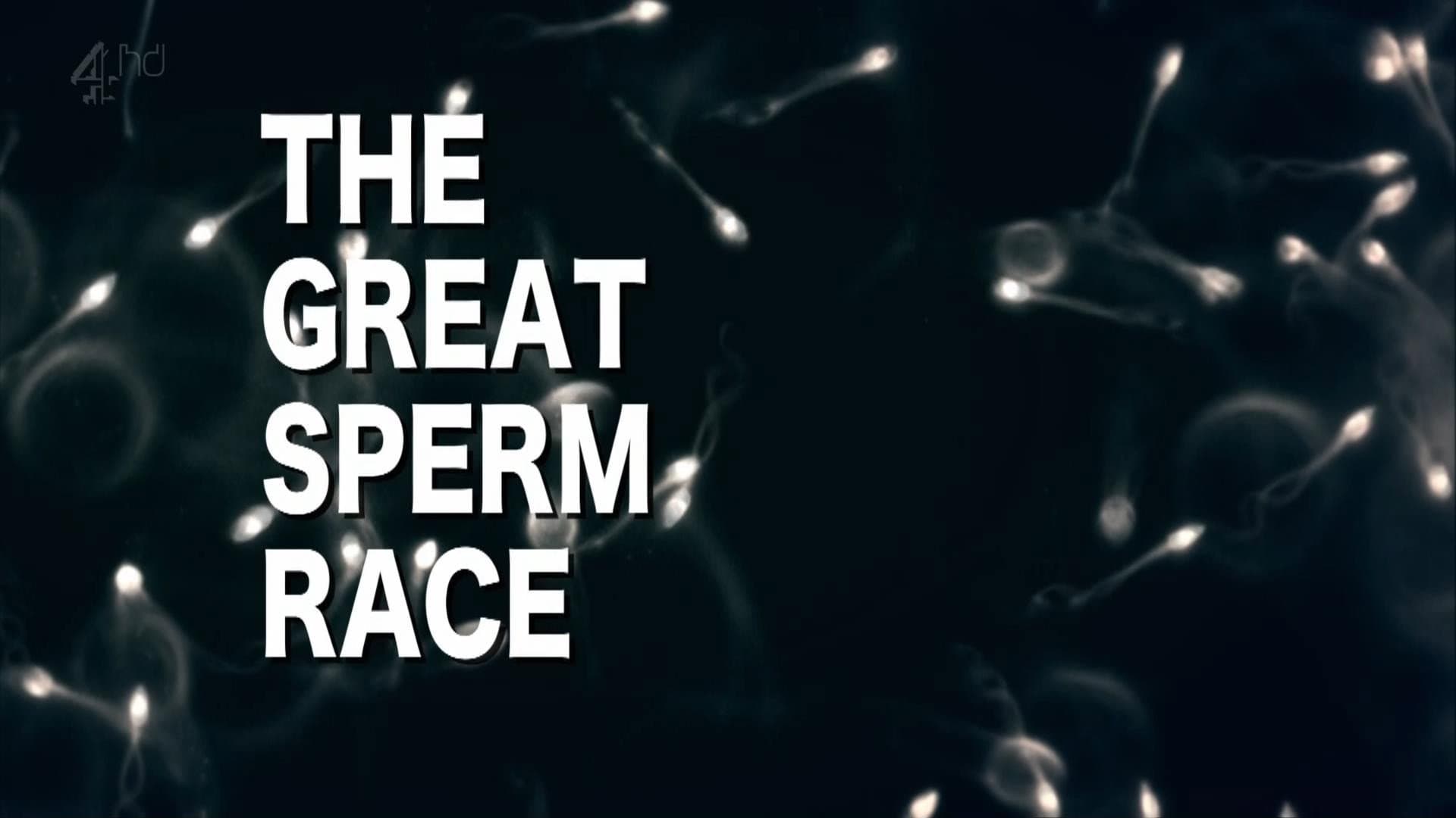 The Great Sperm Race - immagine