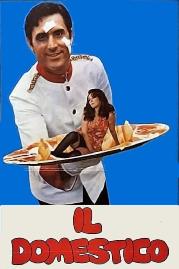 Poster di Il domestico