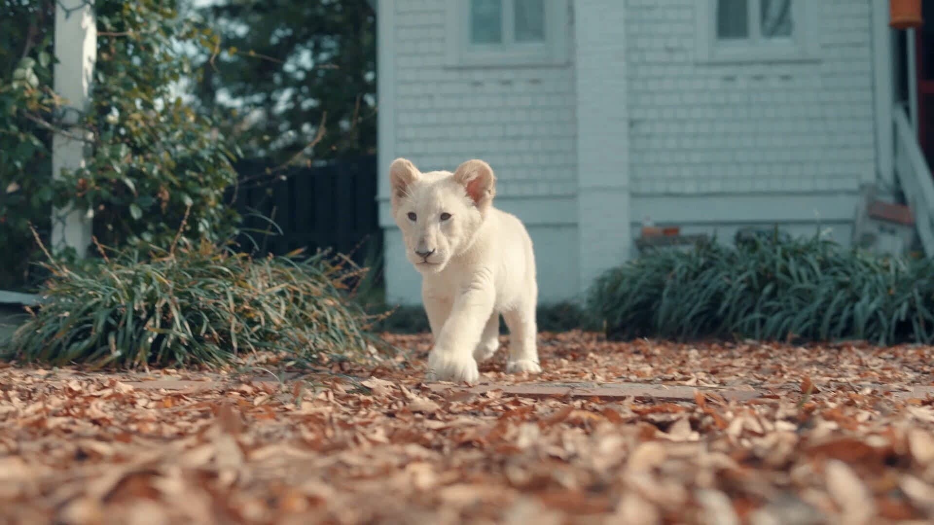 Lena e Snowball - immagine
