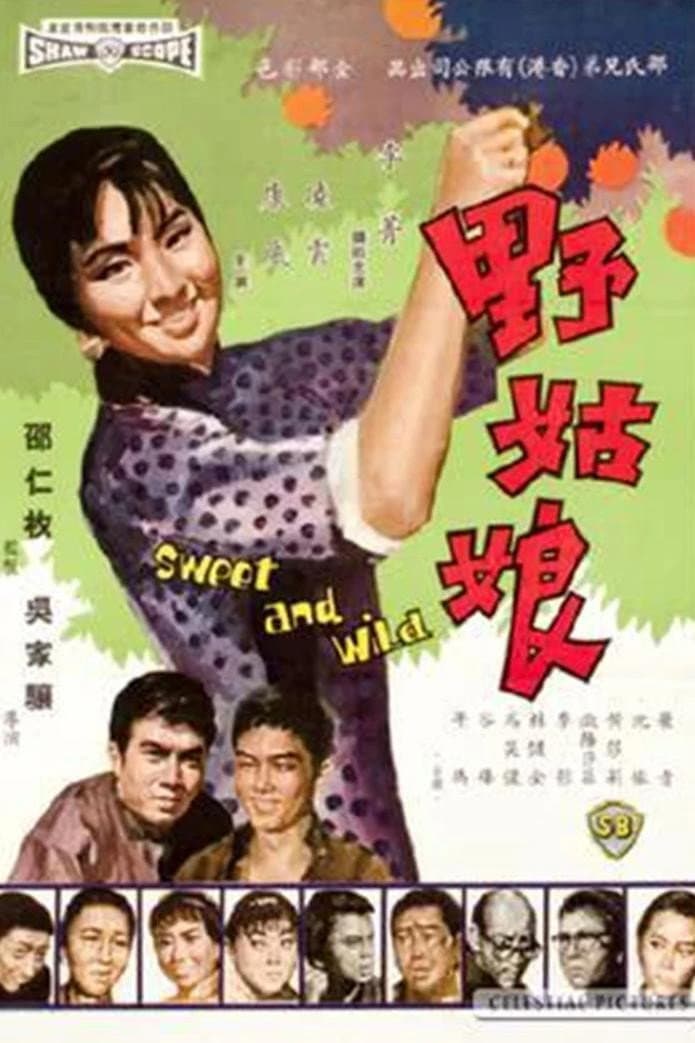 Poster di 野姑娘