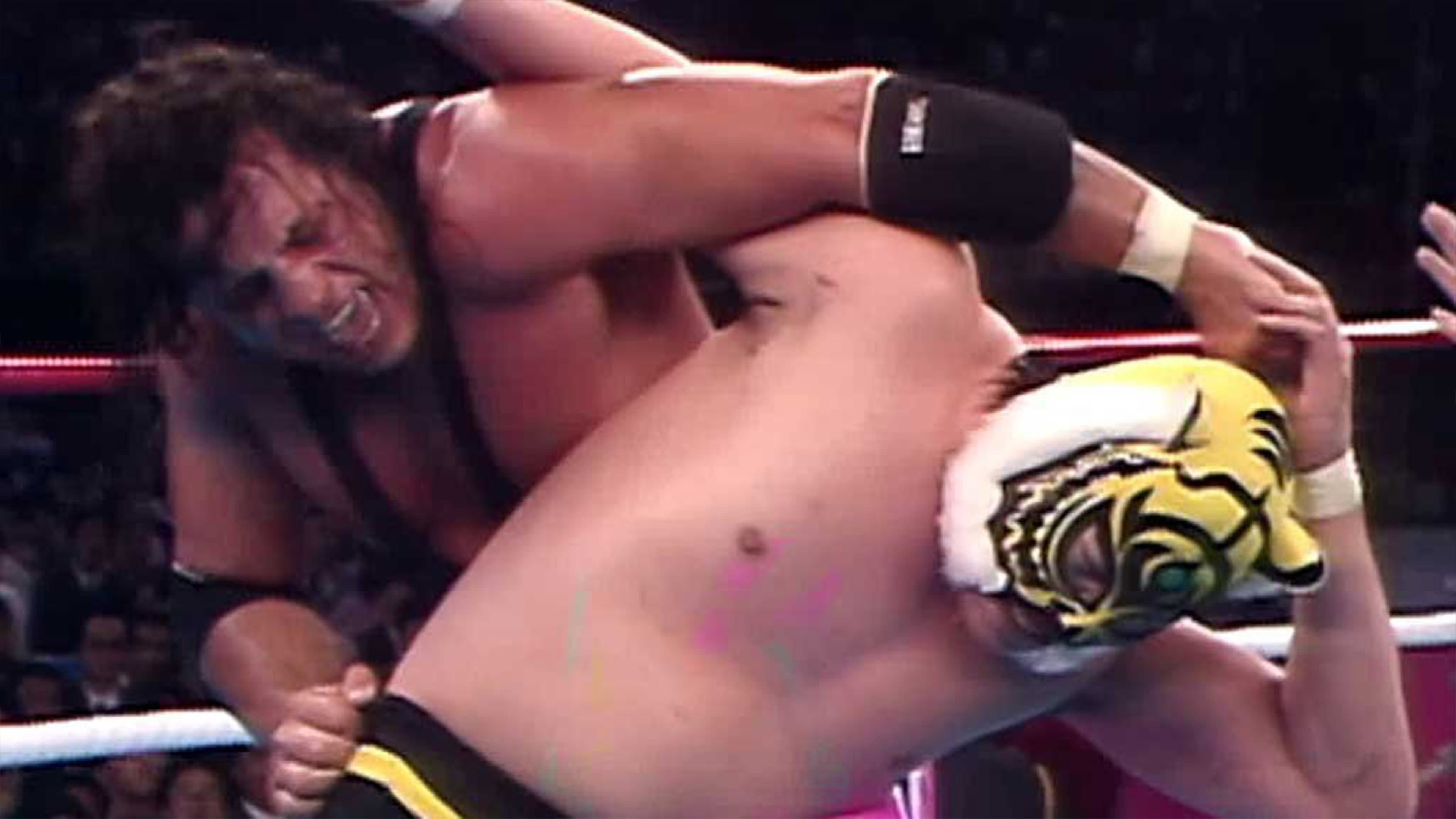 WWF/AJPW/NJPW Wrestling Summit - immagine