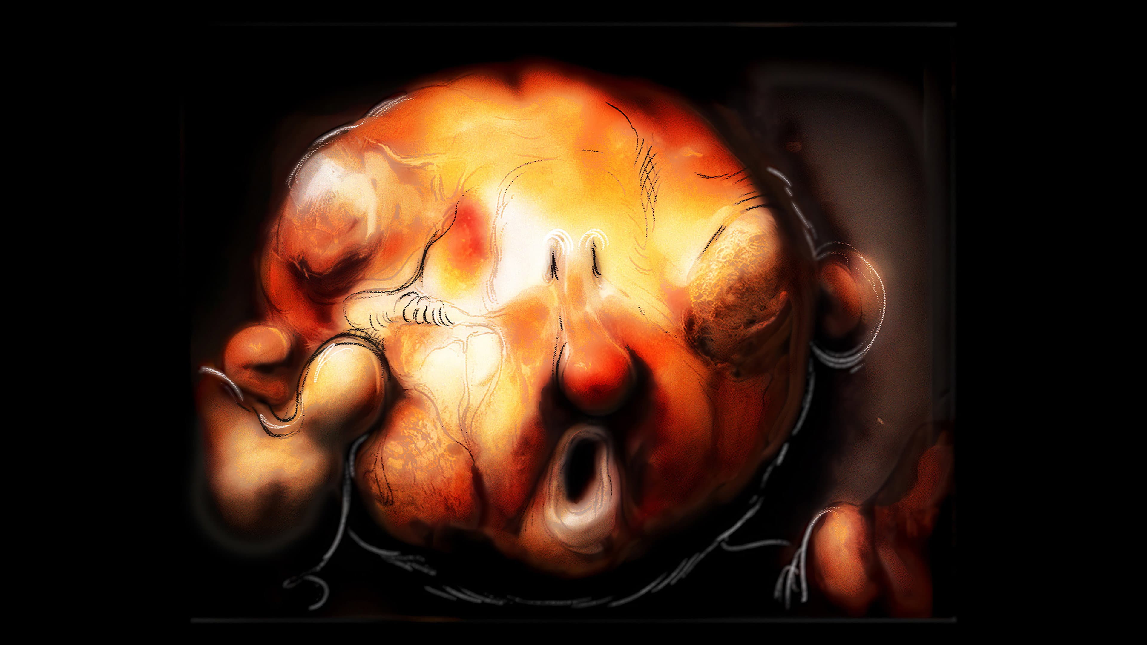 Bread Will Walk - immagine