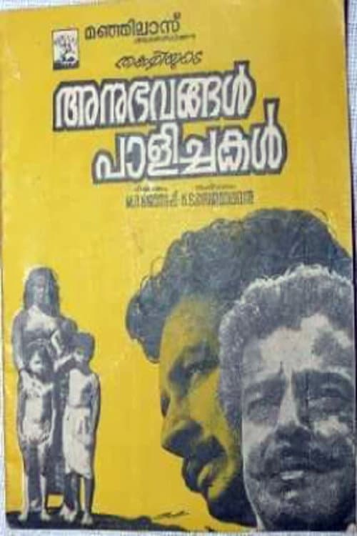 Poster di അനുഭവങ്ങൾ പാളിച്ചകൾ