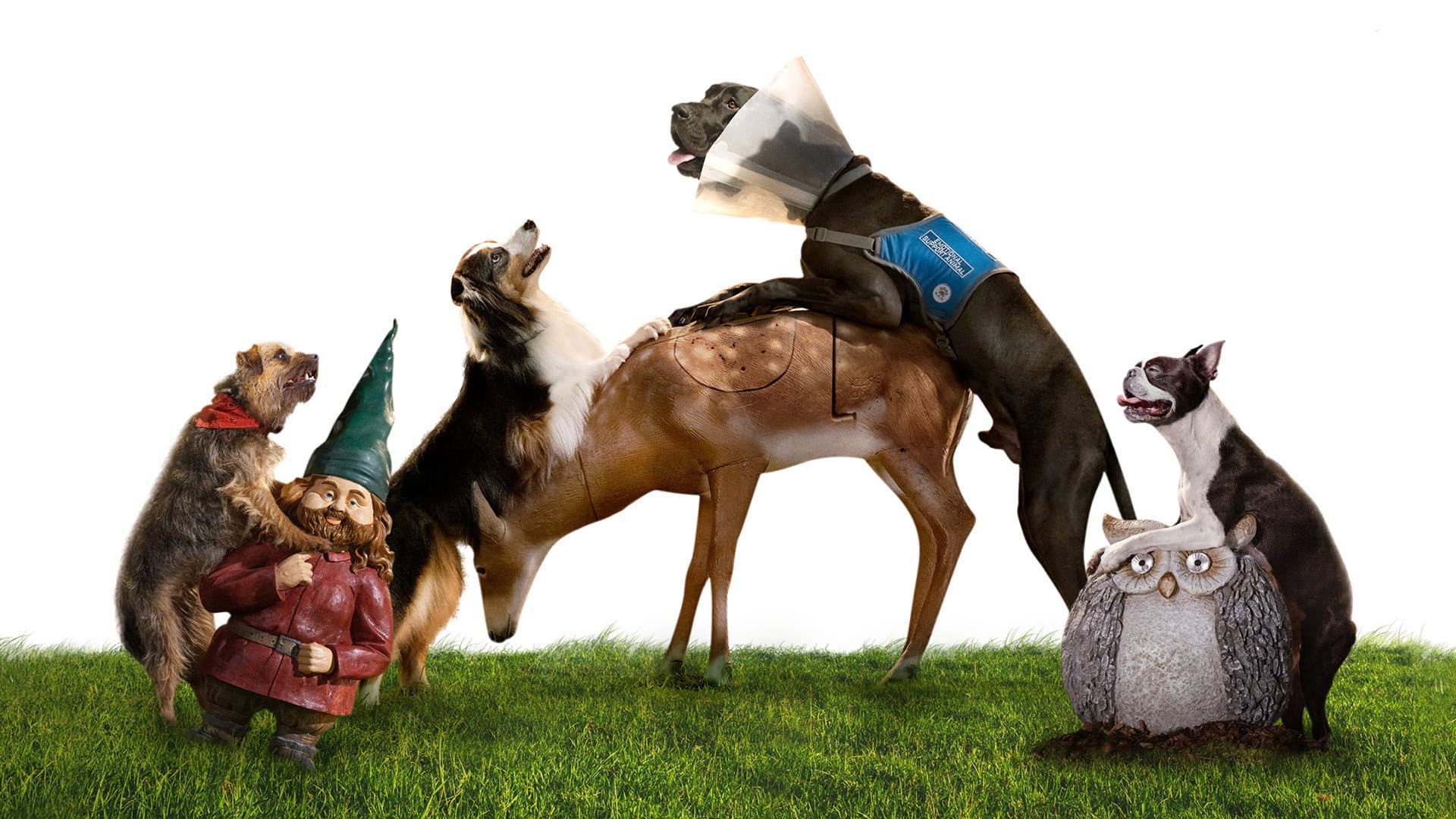 Doggy Style - Quei bravi randagi - immagine