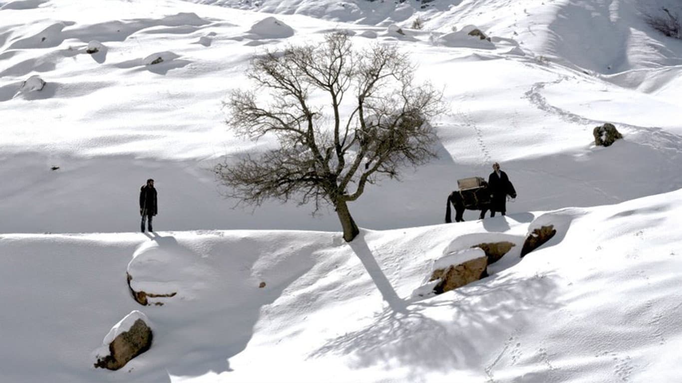 İz - Rêç - immagine