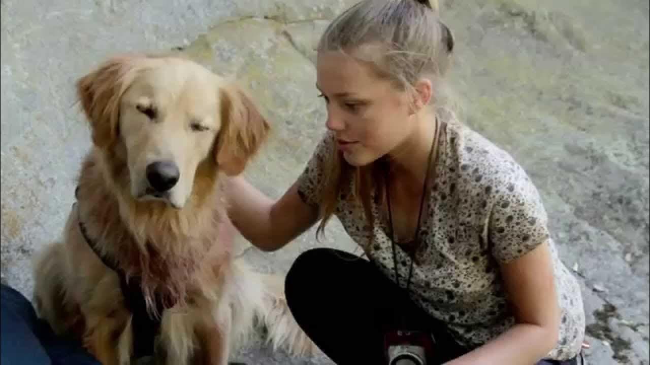 Army Dog - immagine