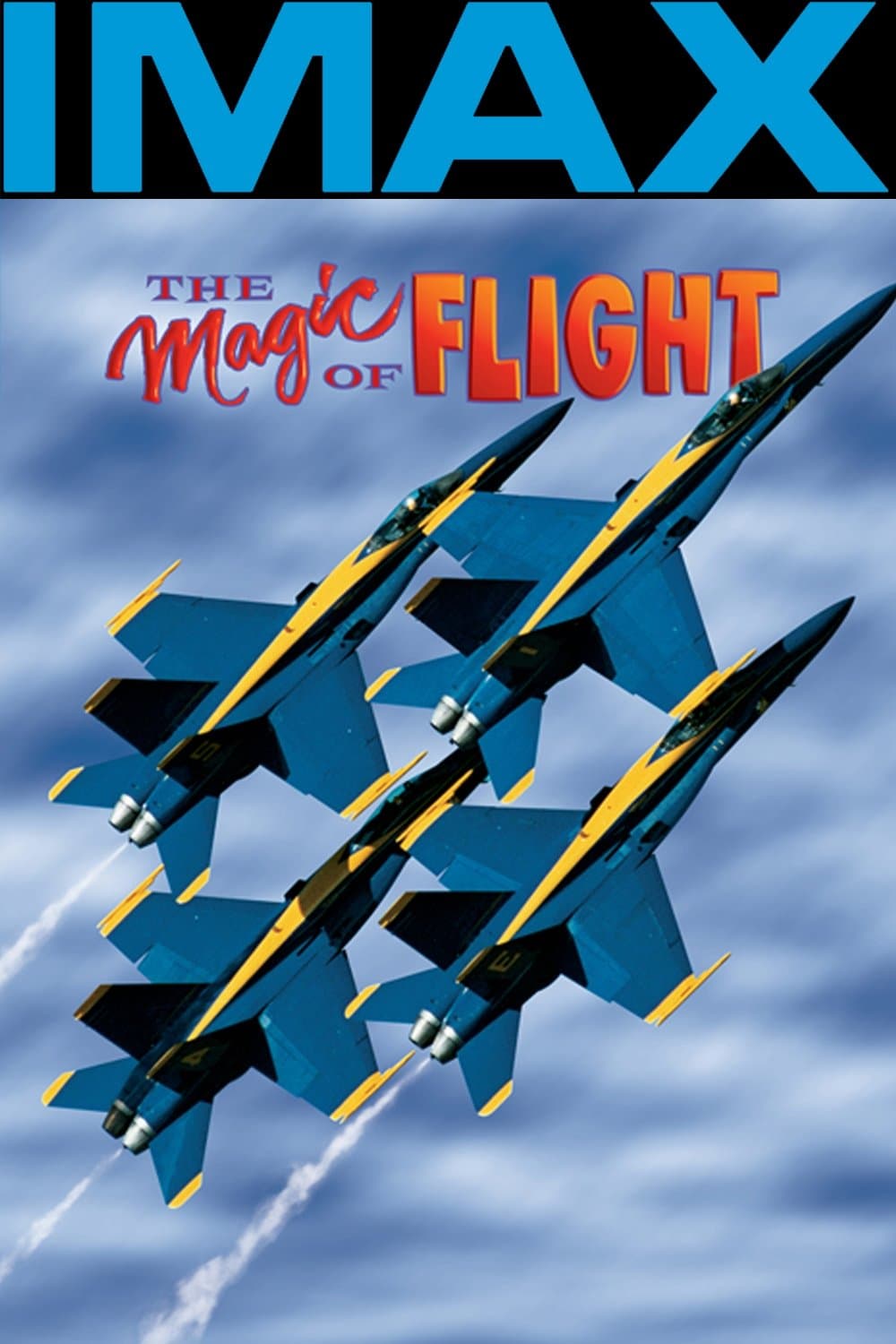 Poster di The Magic of Flight