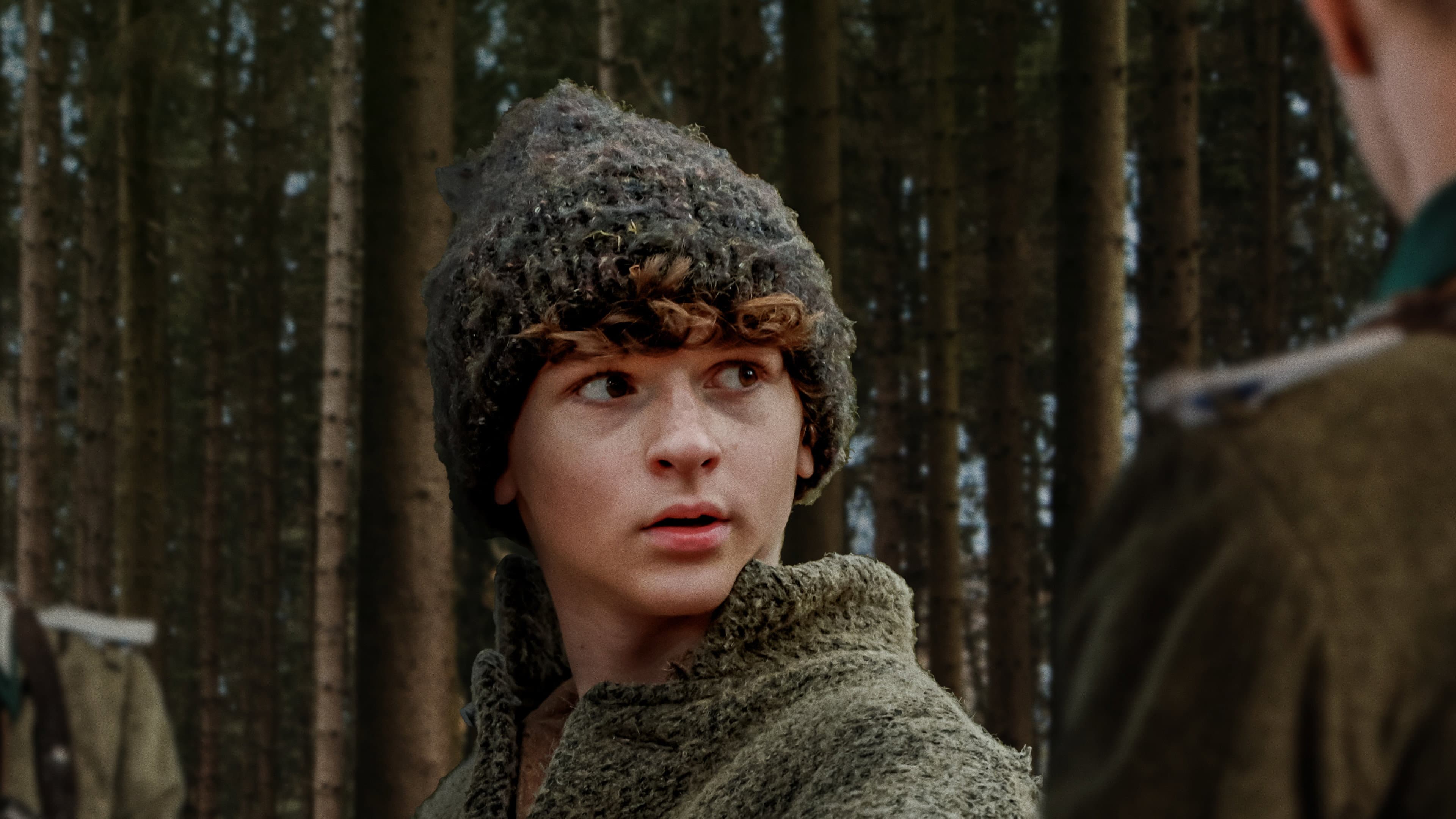 The Boy in the Woods - immagine