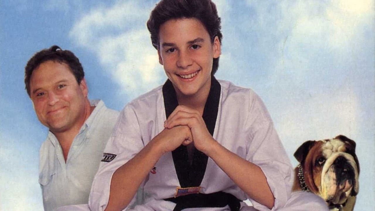 Il mio amico ninja 2 - immagine