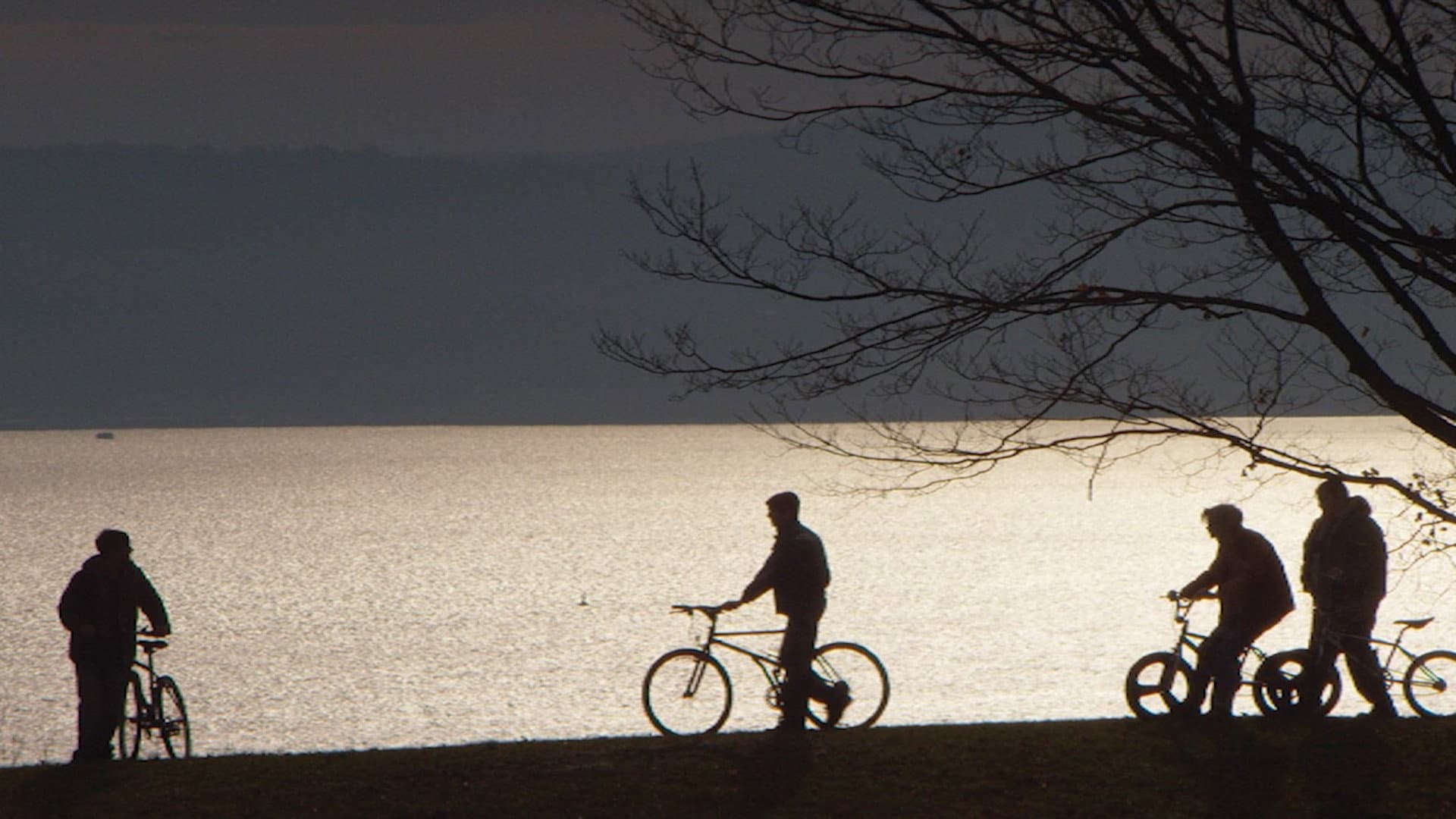 Super Dark Times - immagine