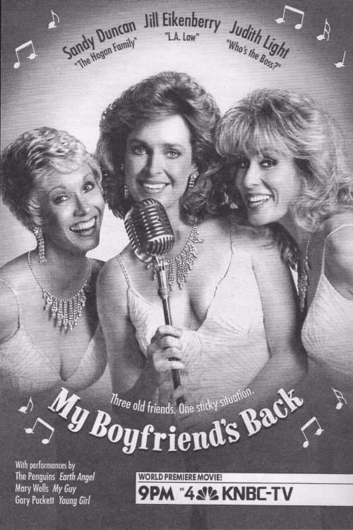 Poster di My Boyfriend's Back
