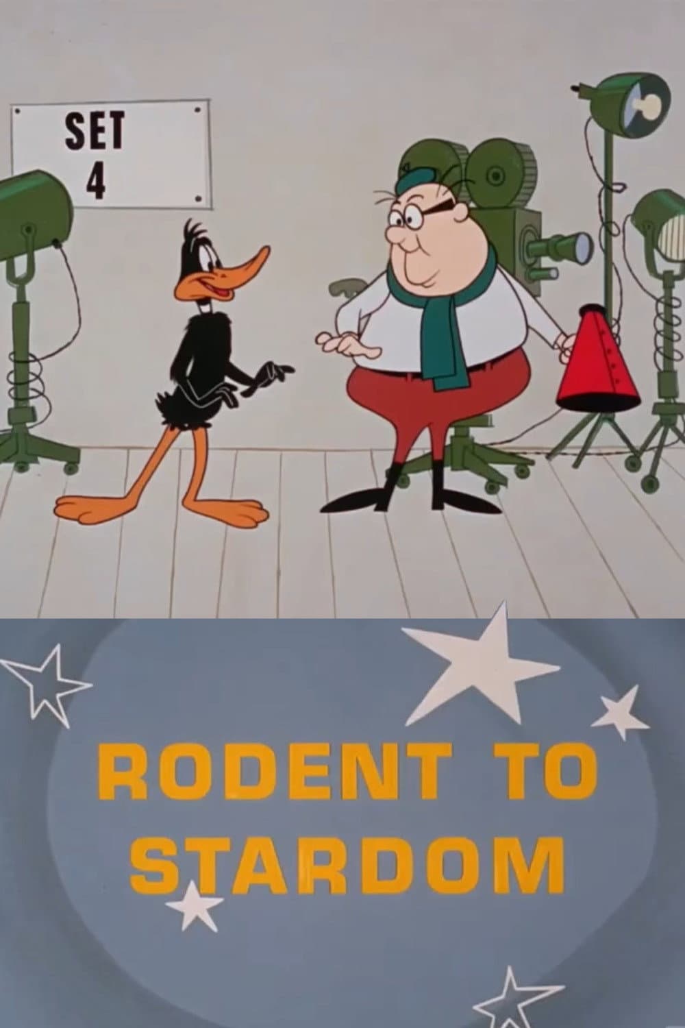 Poster di La controfigura