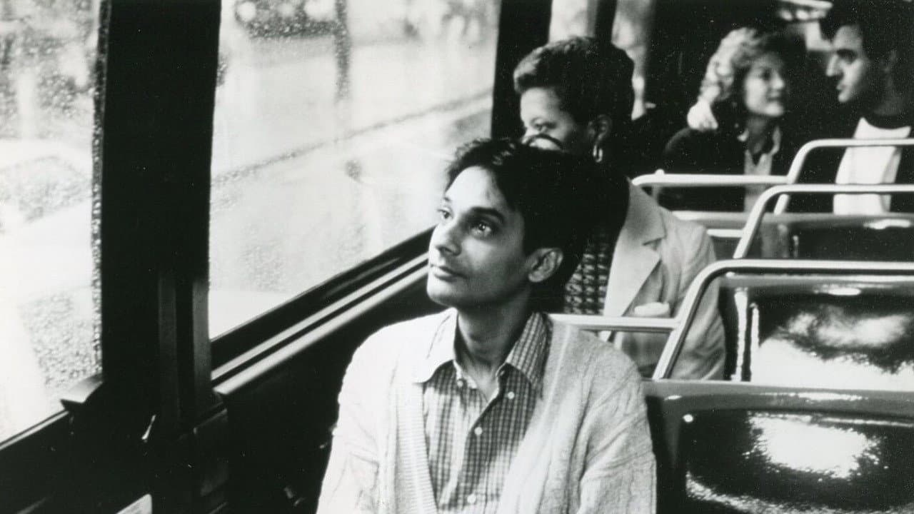 Solo in America - immagine