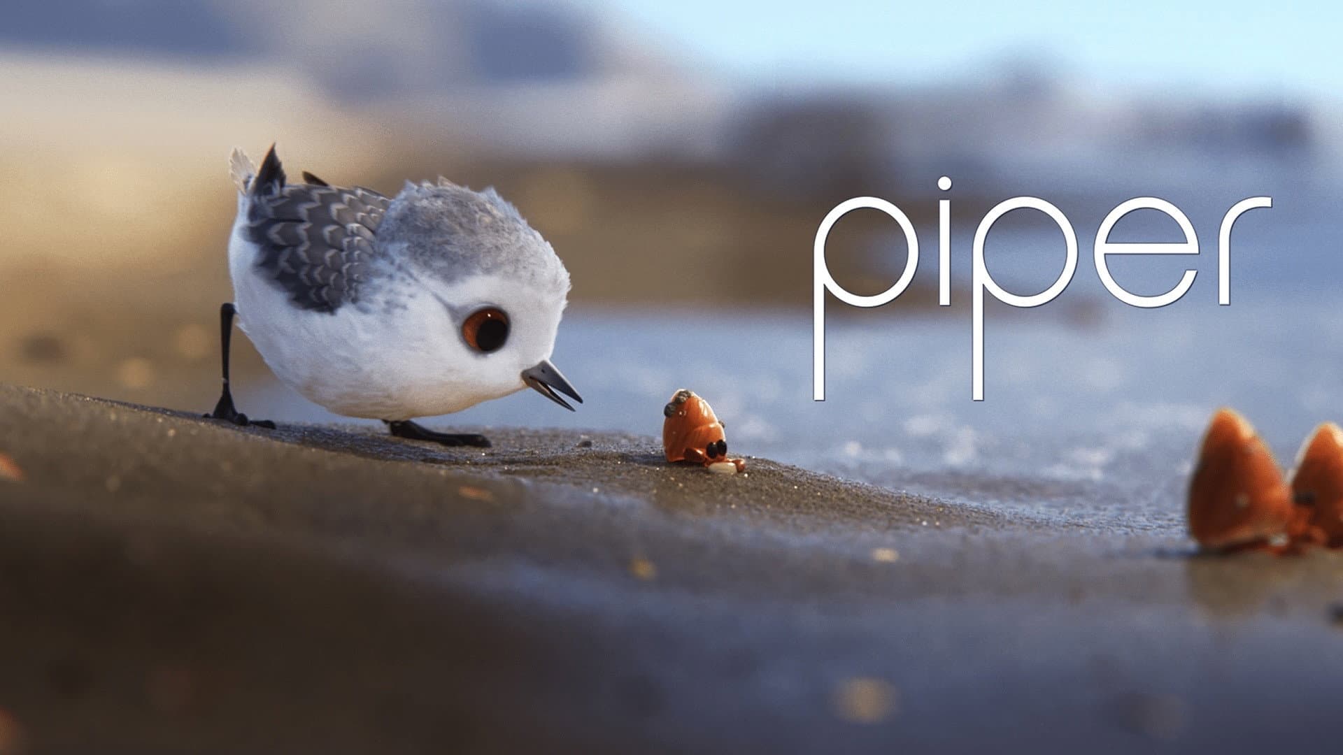 Piper - immagine