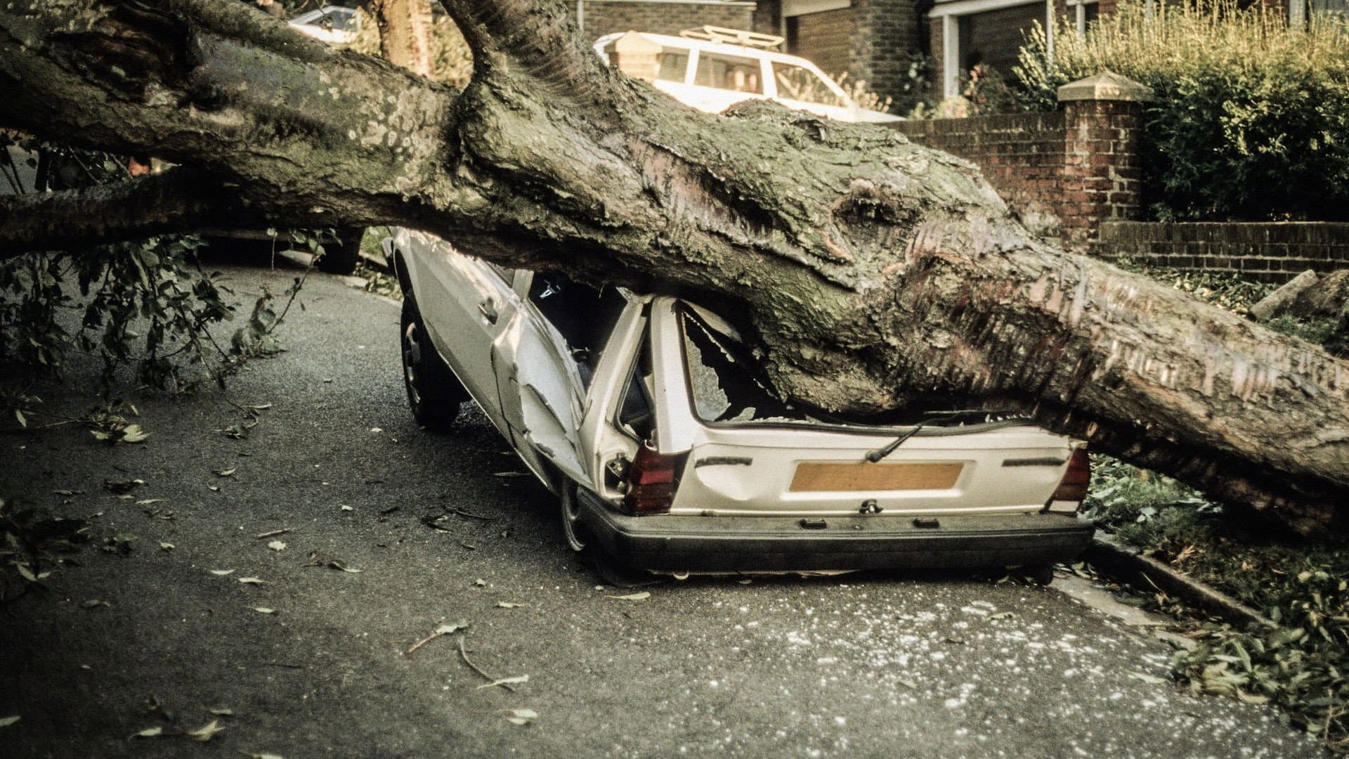 The Great Storm of '87 - immagine