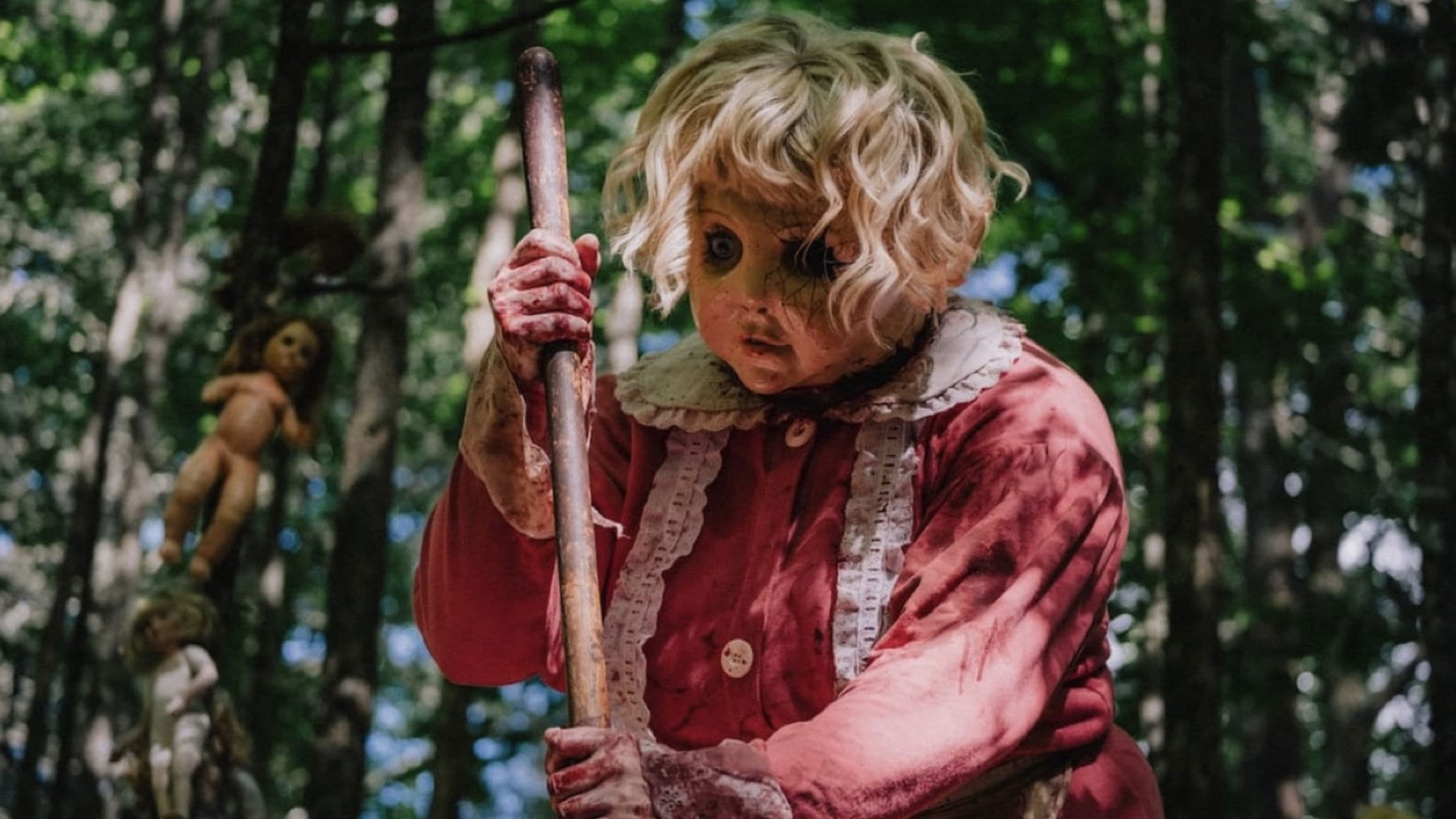 Dolly - immagine