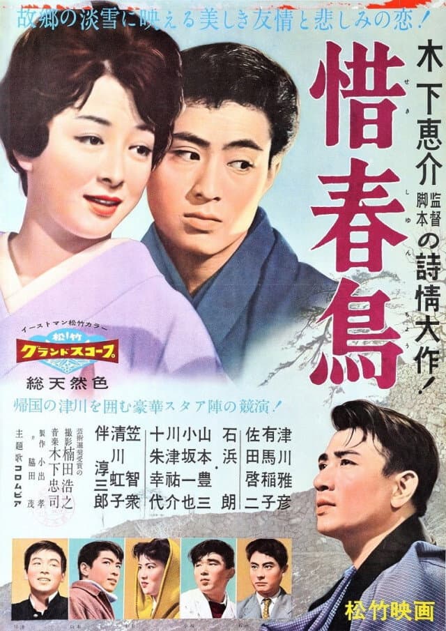 Poster di 惜春鳥