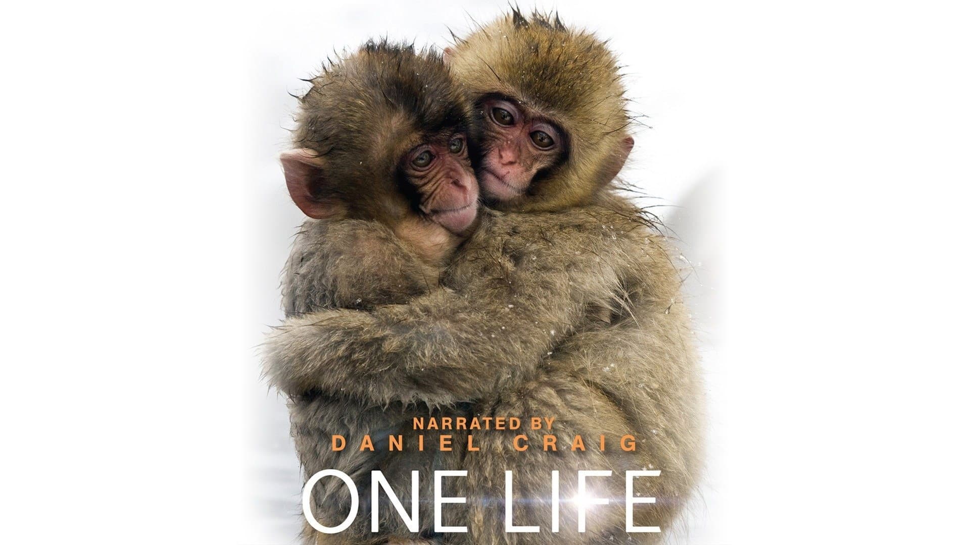 One Life - immagine