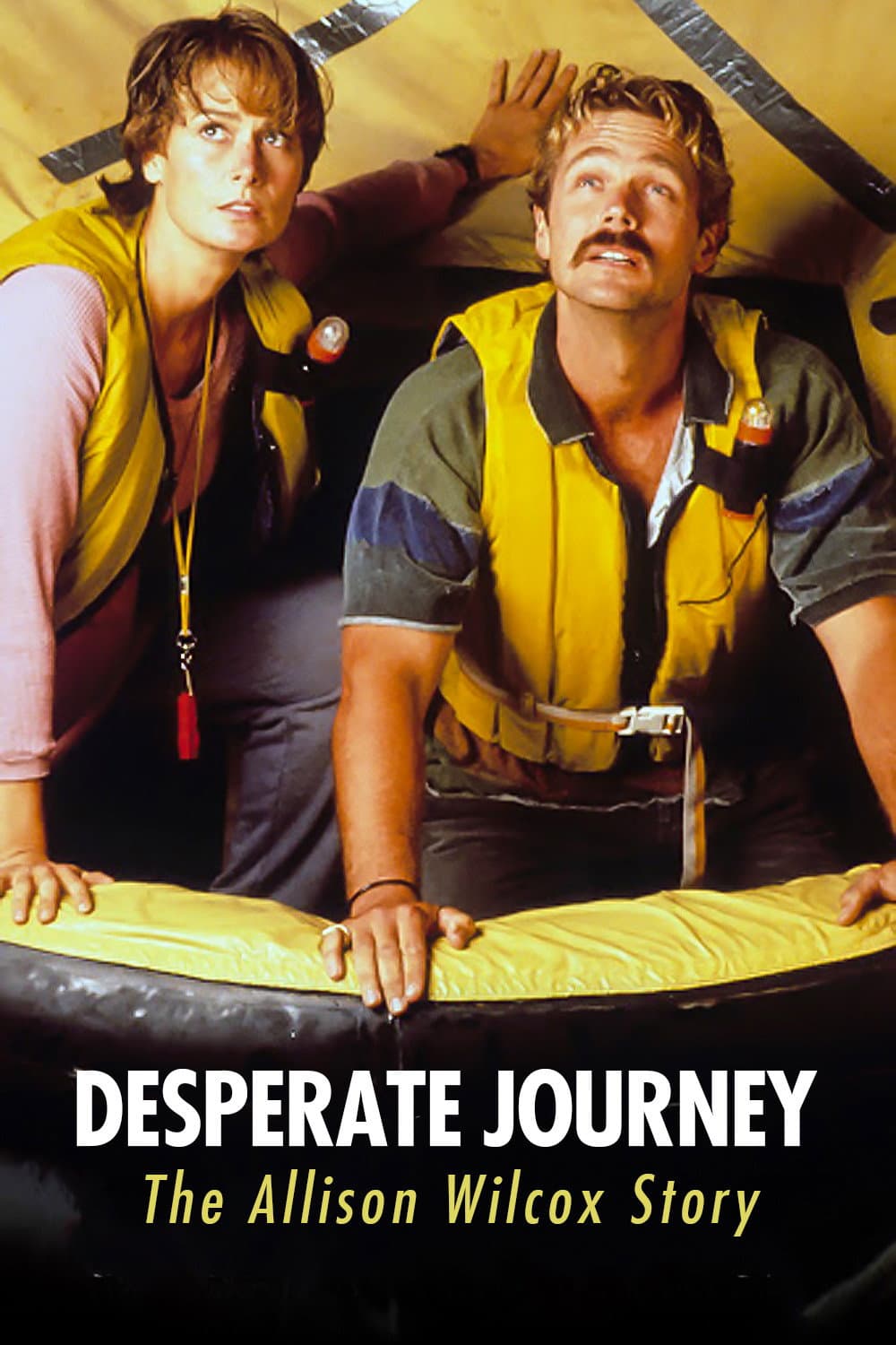 Poster di Desperate Journey: The Allison Wilcox Story