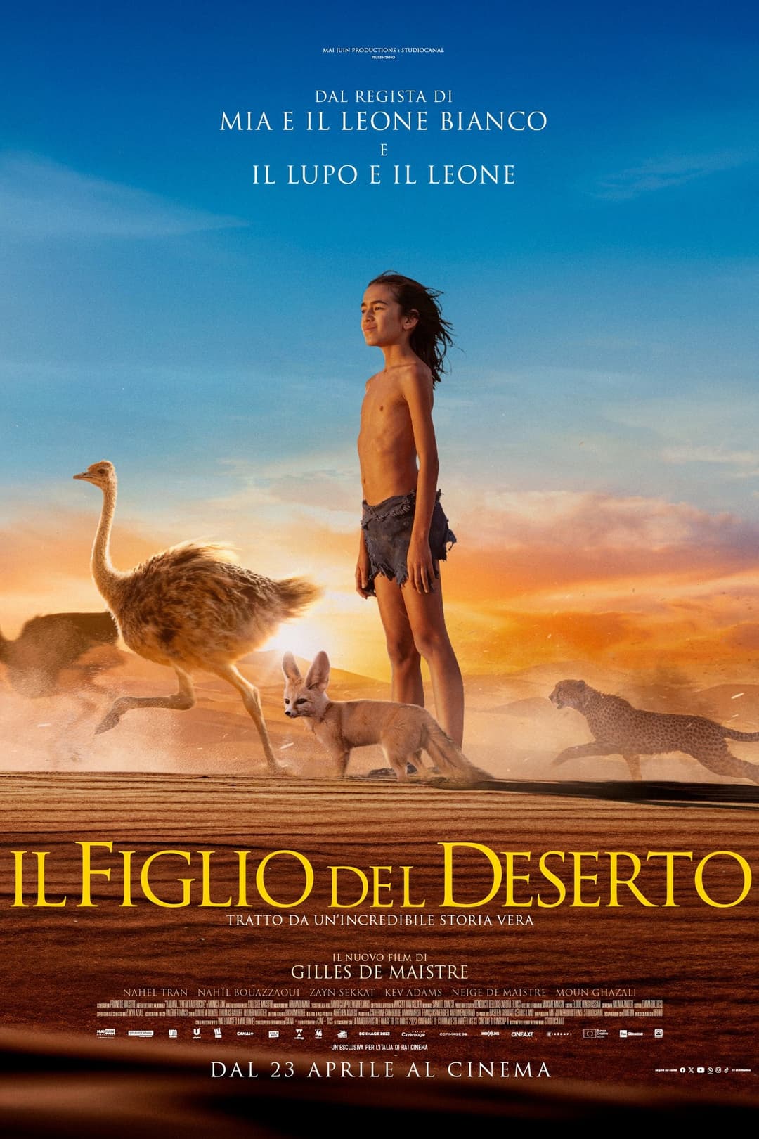 Poster di Il figlio del deserto