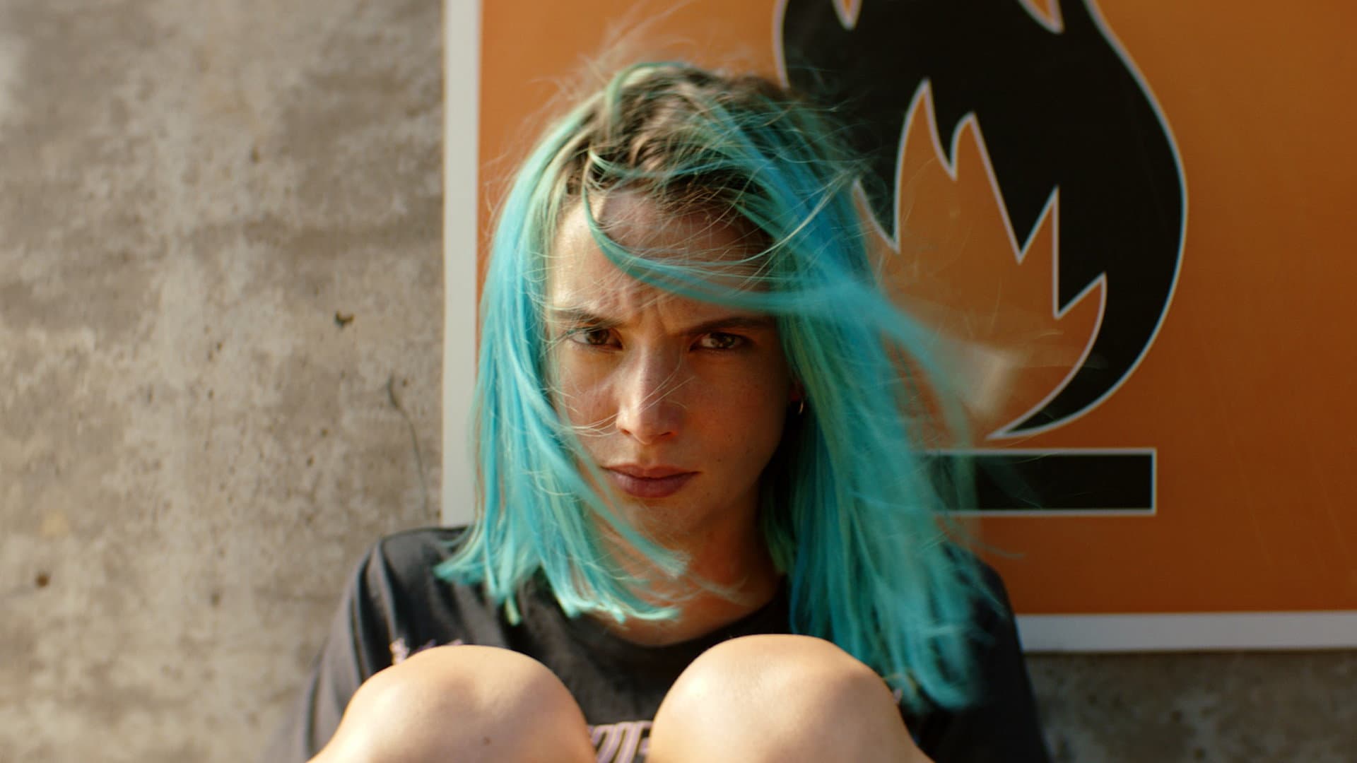 Bo - immagine