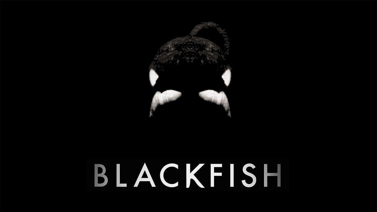 Blackfish - immagine