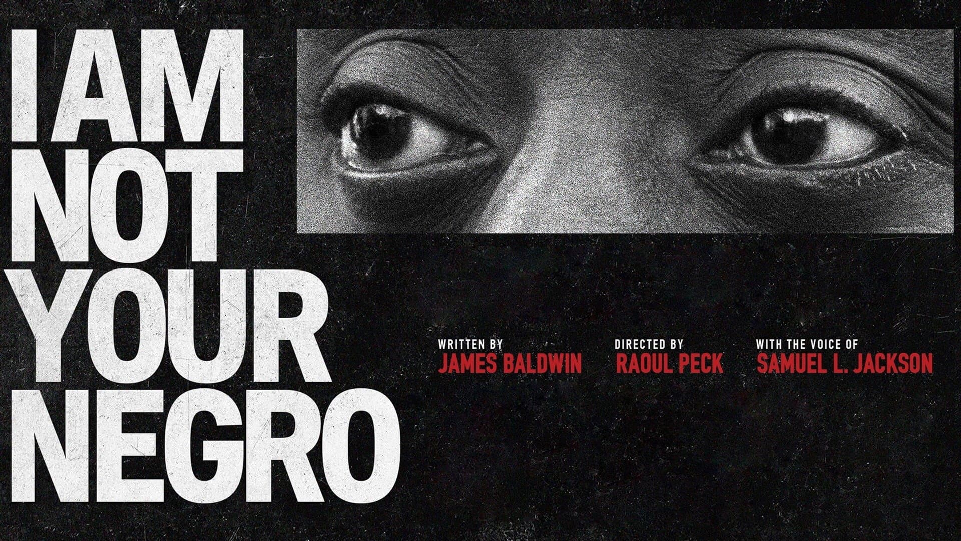 I Am Not Your Negro - immagine