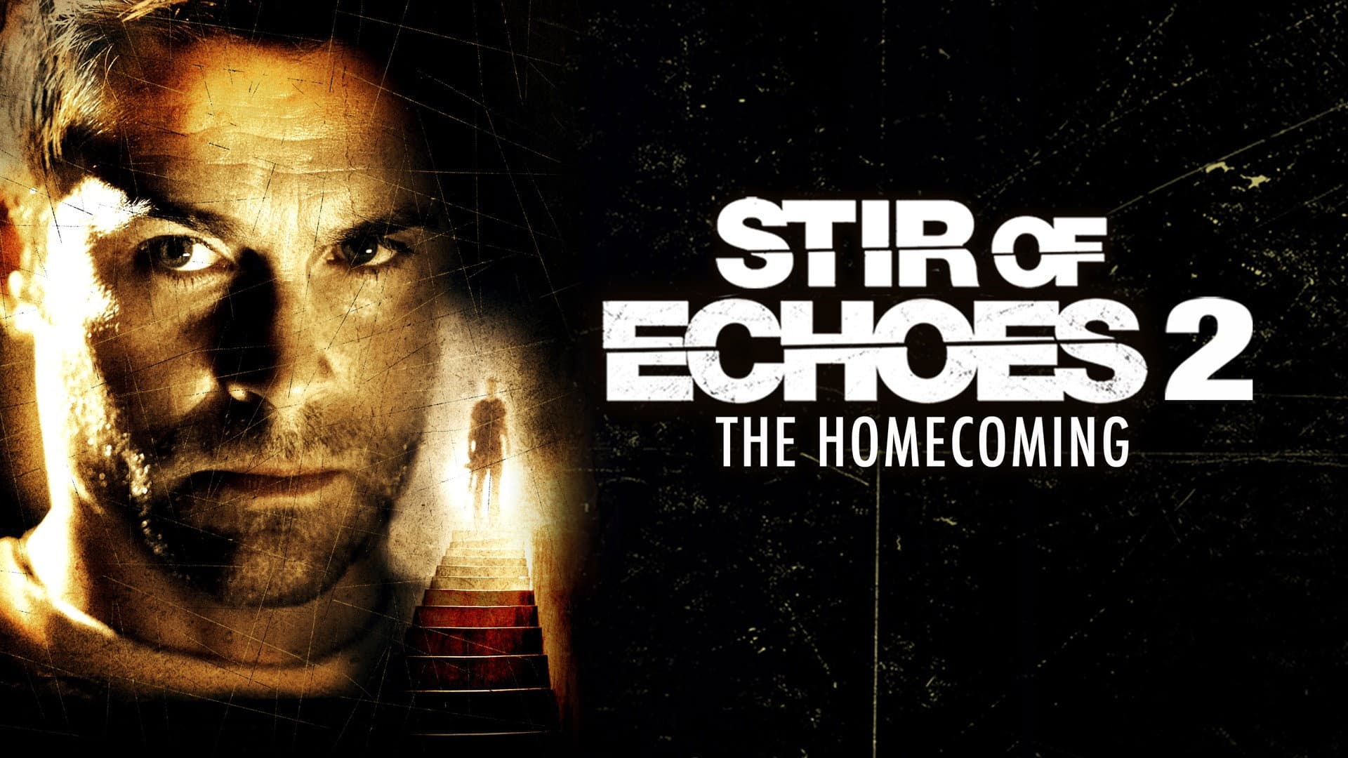 Stir of Echoes: The Homecoming - immagine
