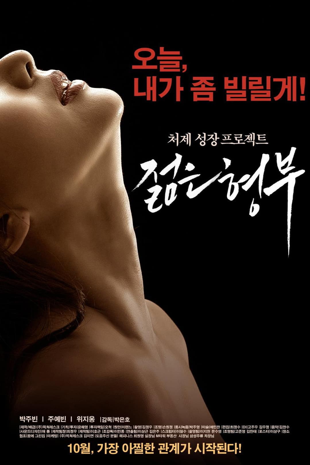 Poster di 젊은 형부